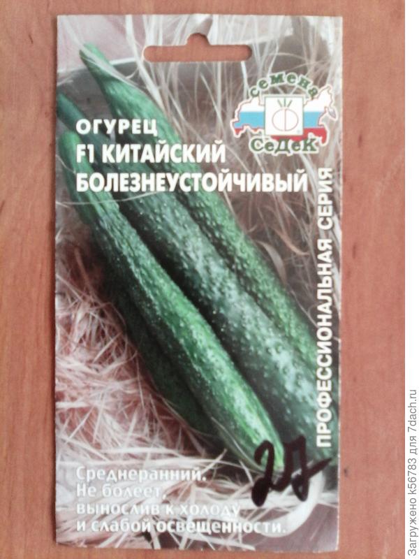 Откуда "дровишки"? От СеДеКа вестимо! Попробуй сначала - потом говори!