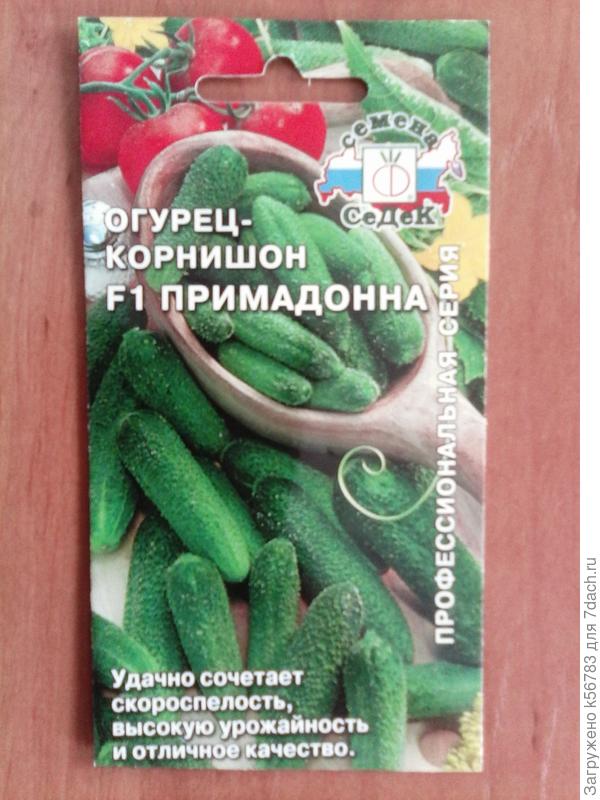 А на засолку "Примадонну" возьмём! Вкусняшки-корнишончики для самых приверед!