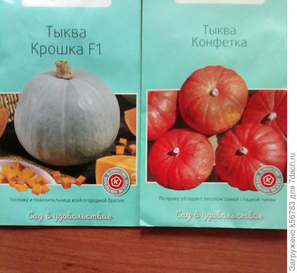 Наши любимые тыковки...уже много лет выращиваем