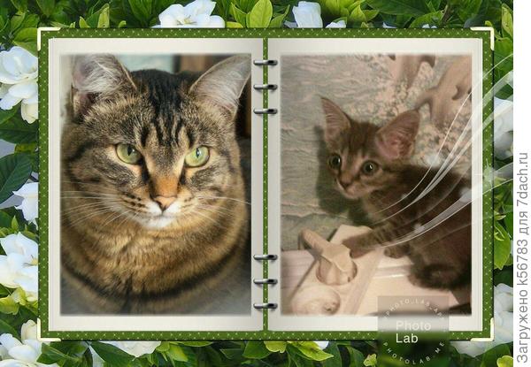 Из серии "Было - стало" :)