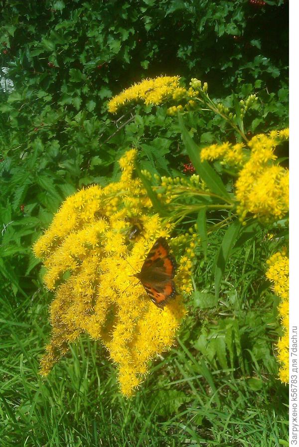 Удачи, успехов и новых достижений!