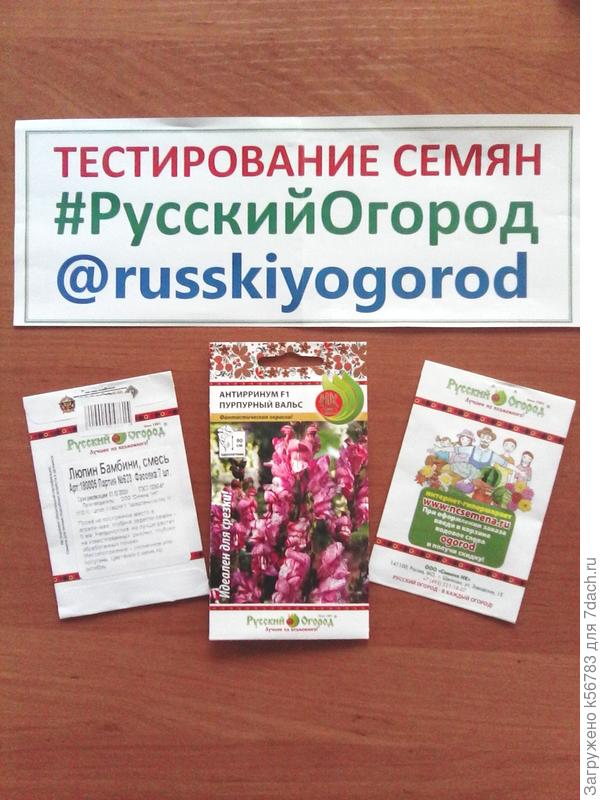 Цветы