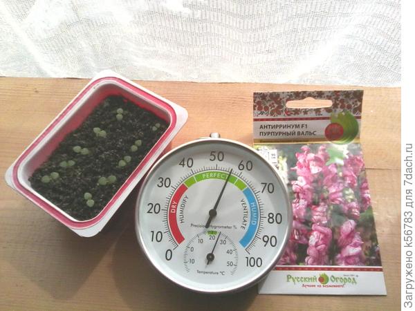 Нам нравится наш домик