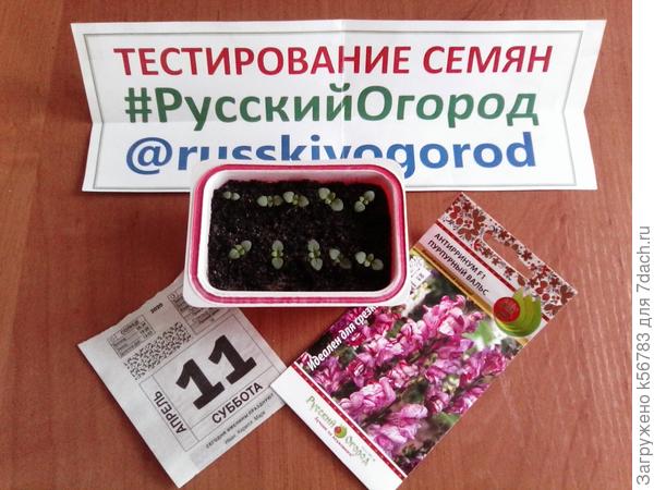 Мои