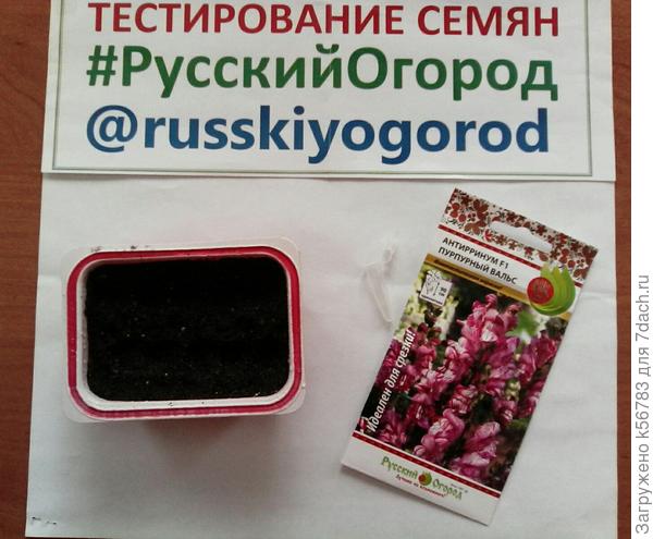 Готово!