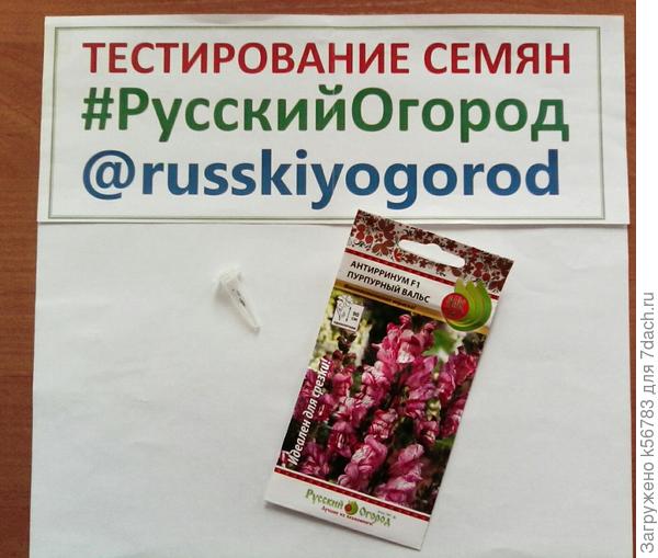 Цветы
