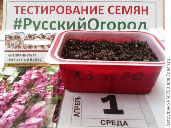 Растём не по дням, а по часам!