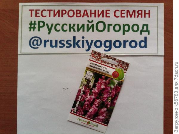 Семена