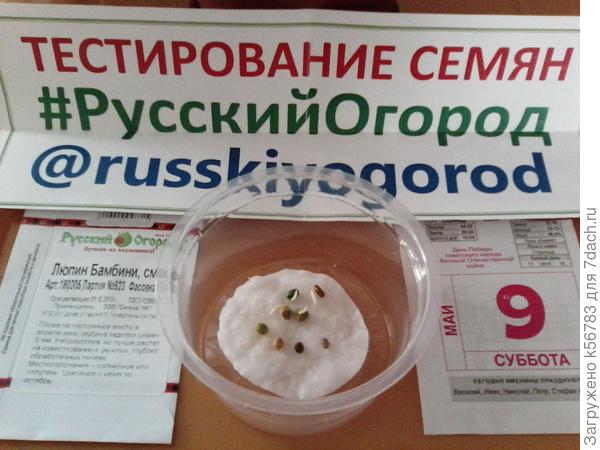 Семена