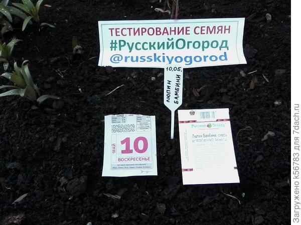 Семна