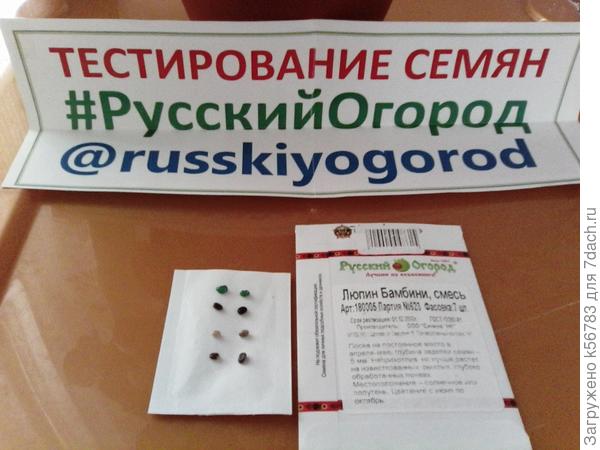Люи