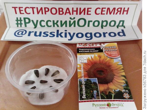 Зам