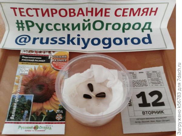 Оно