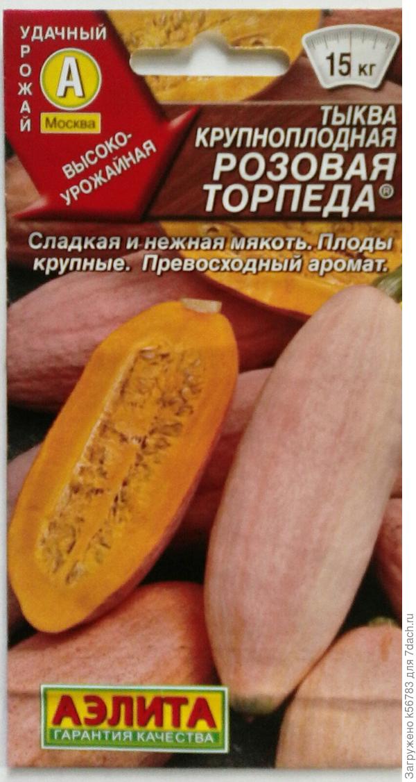Тыква