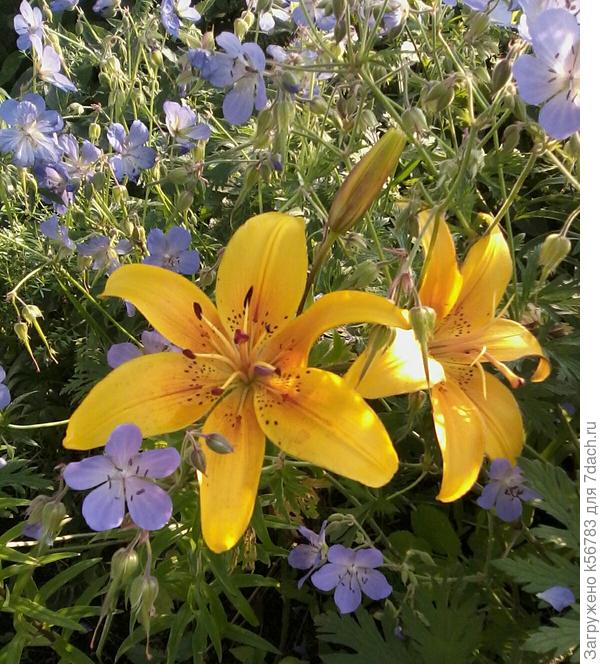 Радостных мгновений каждый день!