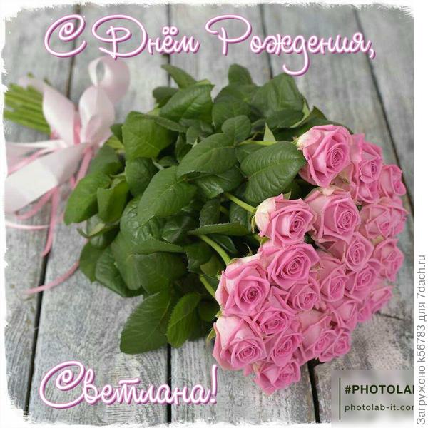 Розовые розы Светлане из Калининграда