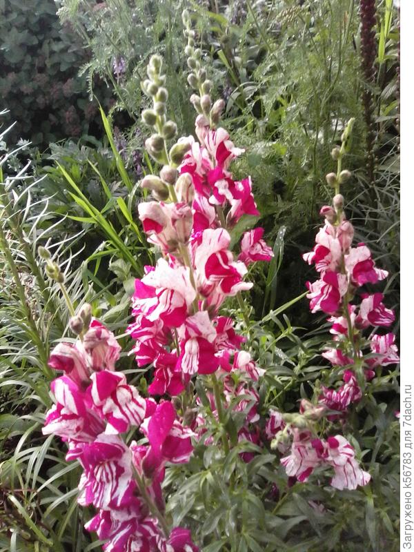 Пять дней назад сфотала