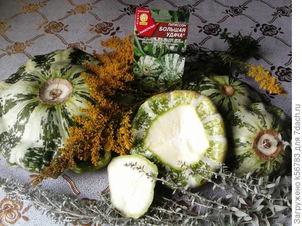 Патиссоны