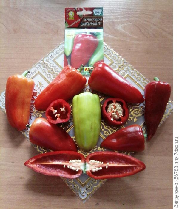 Оценка гибриду 'отлично'