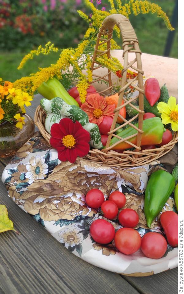 Вот такую щедрую