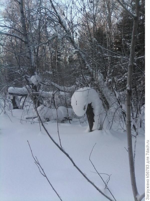 Примите дракончика в вашу компанию