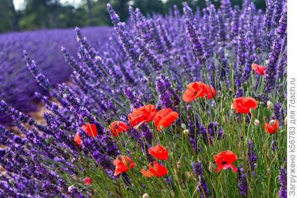 С Днём рождения!