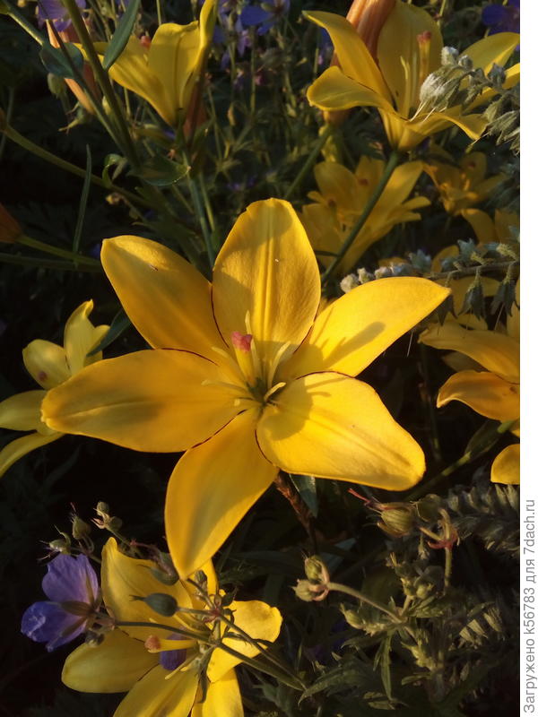 От всей души поздравляю!