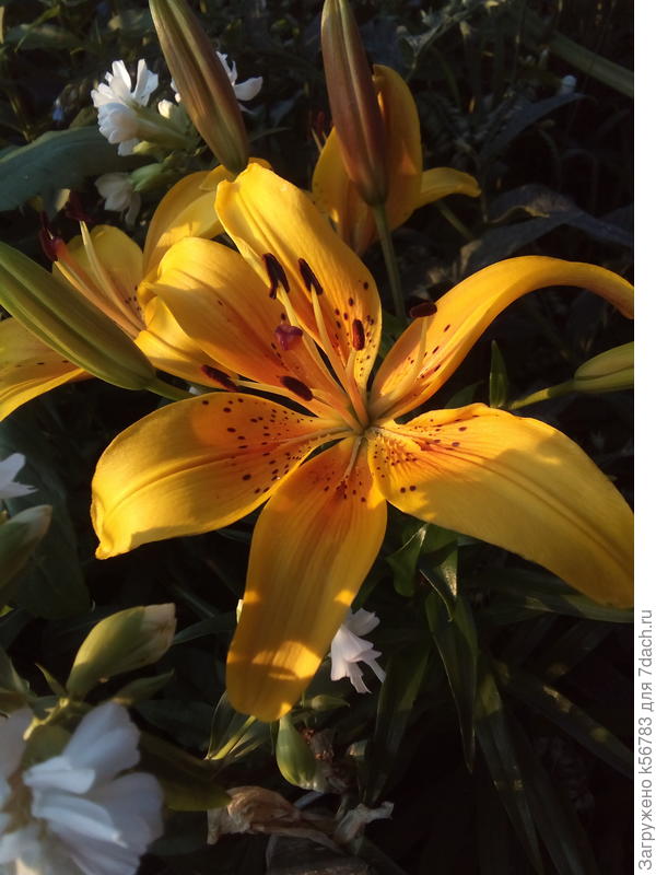 Приятных встреч