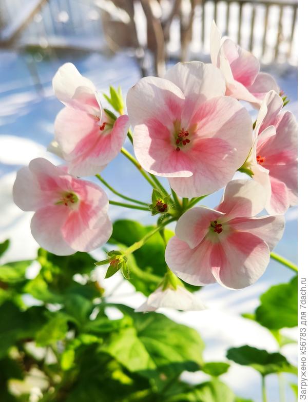 С ДНЁМ РОЖДЕНИЯ!