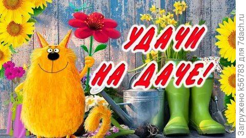 С новыми победами!