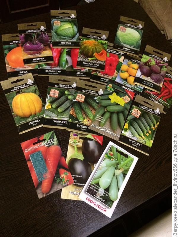 семена от агрохолдинга Поиск