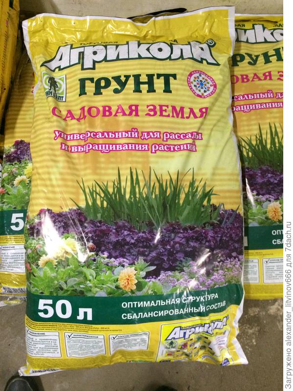 Мой любимый грунт для выращивания рассады