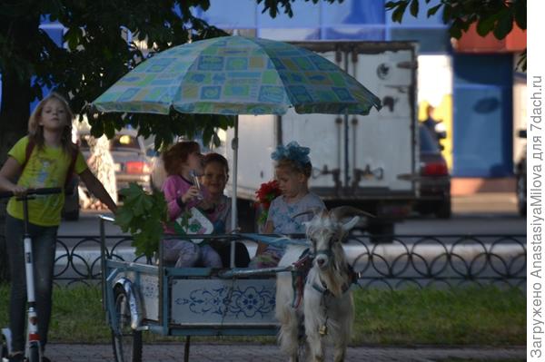 На зарботках.