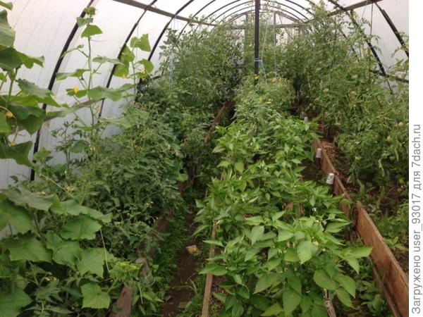 сейчас у меня так