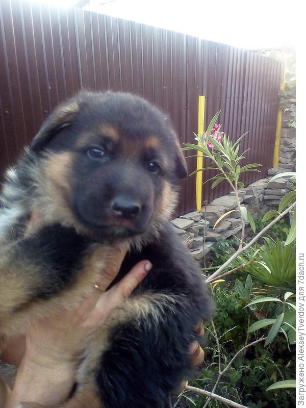 на заднем плане пальма прошлым летом