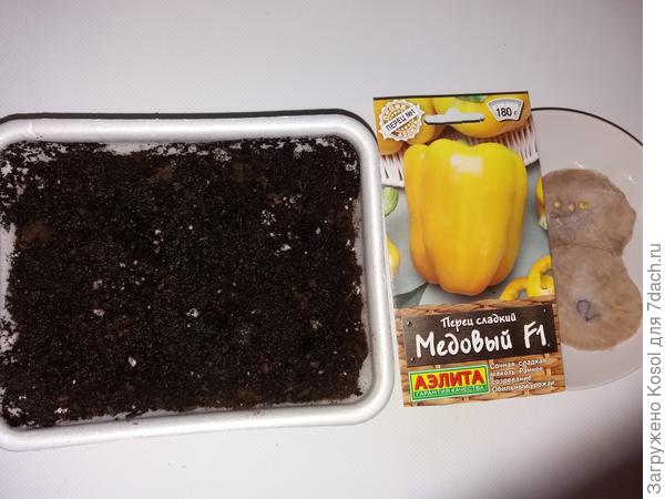 Семена готовы к посеву