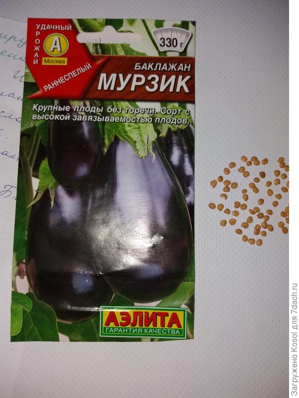 Семена баклажана Мурзик