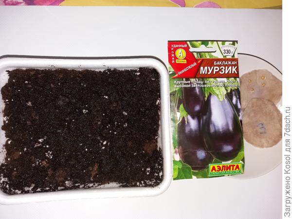 Хвостики ростков, пора сеять