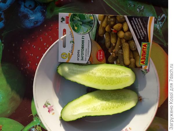 Полна горница людей