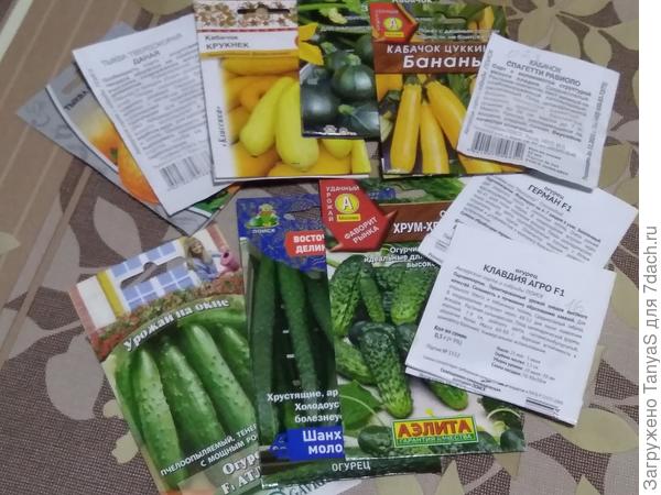 Огурцы, кабачки