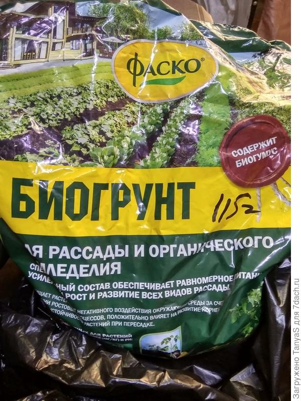 грунт