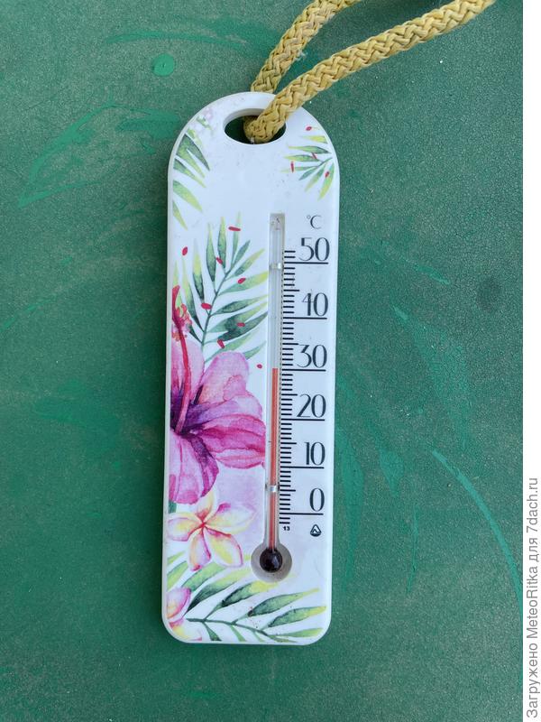 Ленобласть, в тени