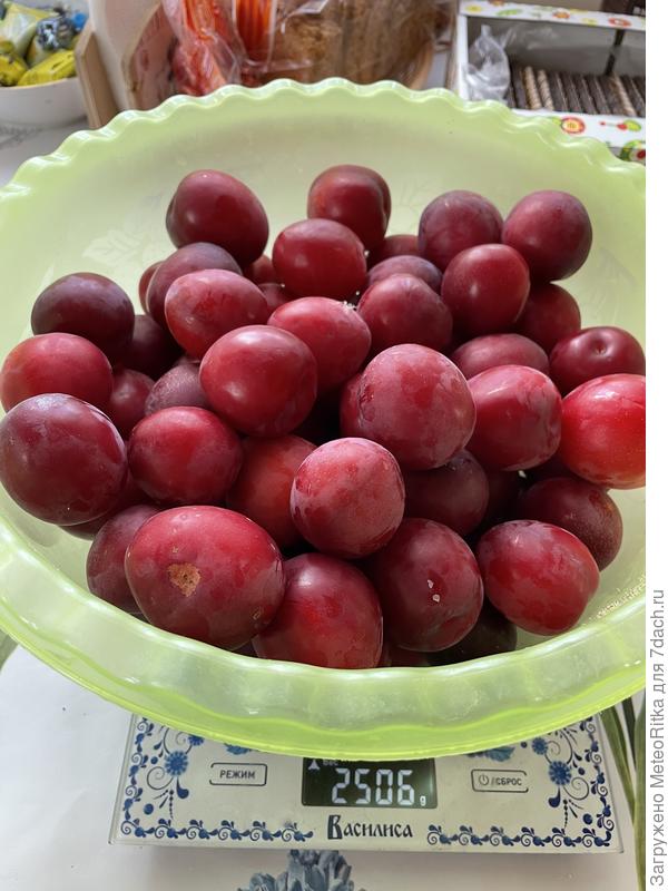 Кубанская комета тоже не отставала