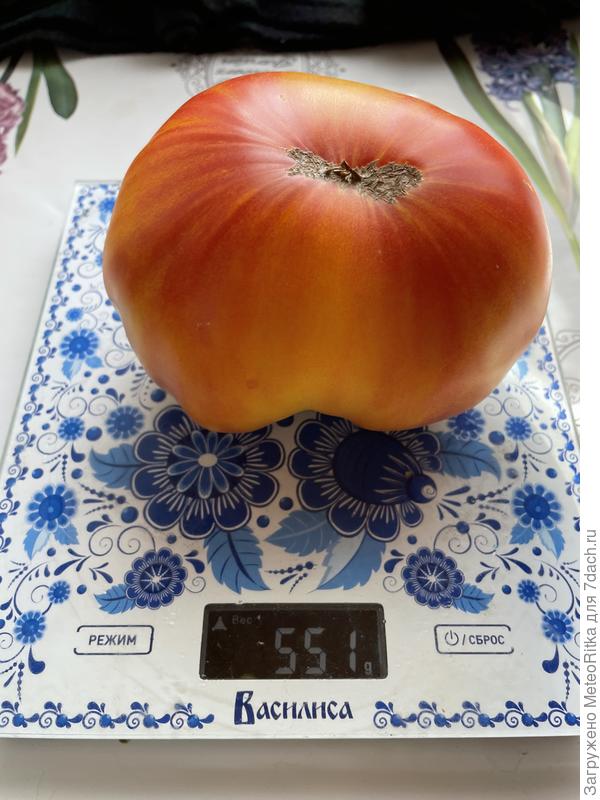 Помидорные вкусняшки