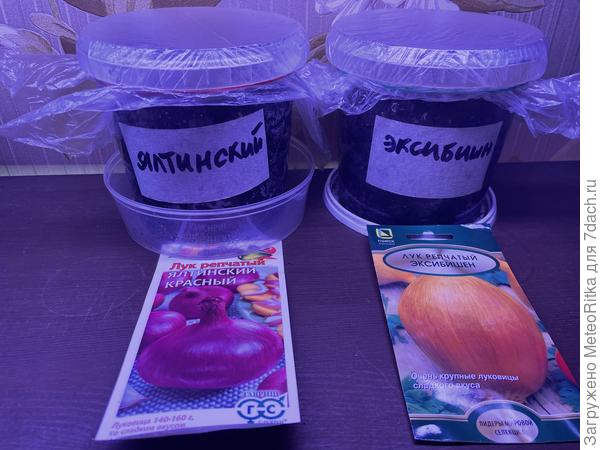 Жду🤞🏻🤞🏻🤞🏻