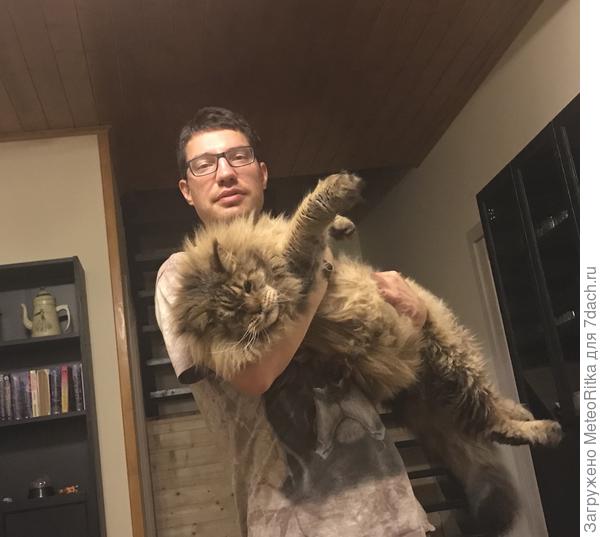 Поднять может только муж.