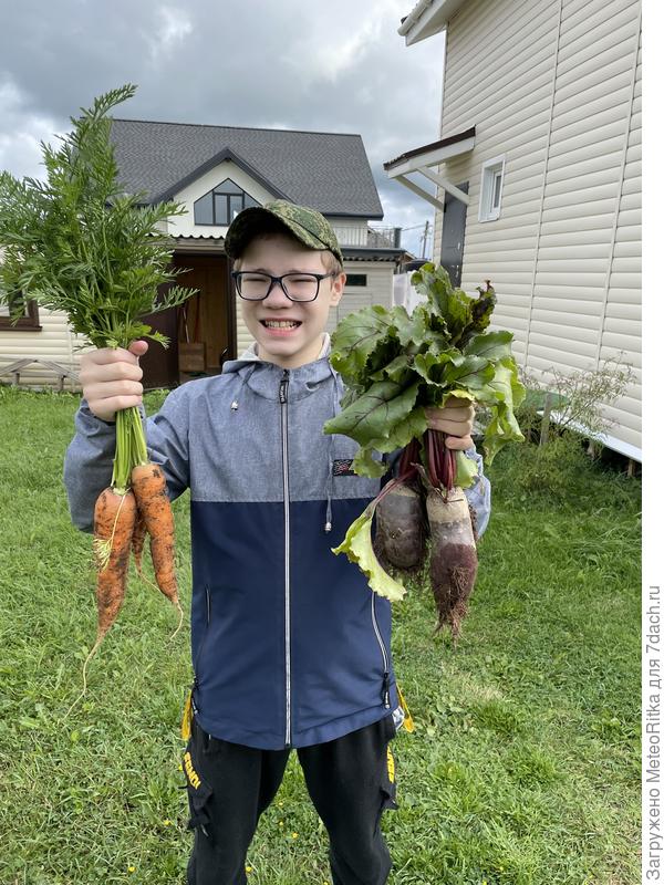 На урожай вроде не жалуемся😁