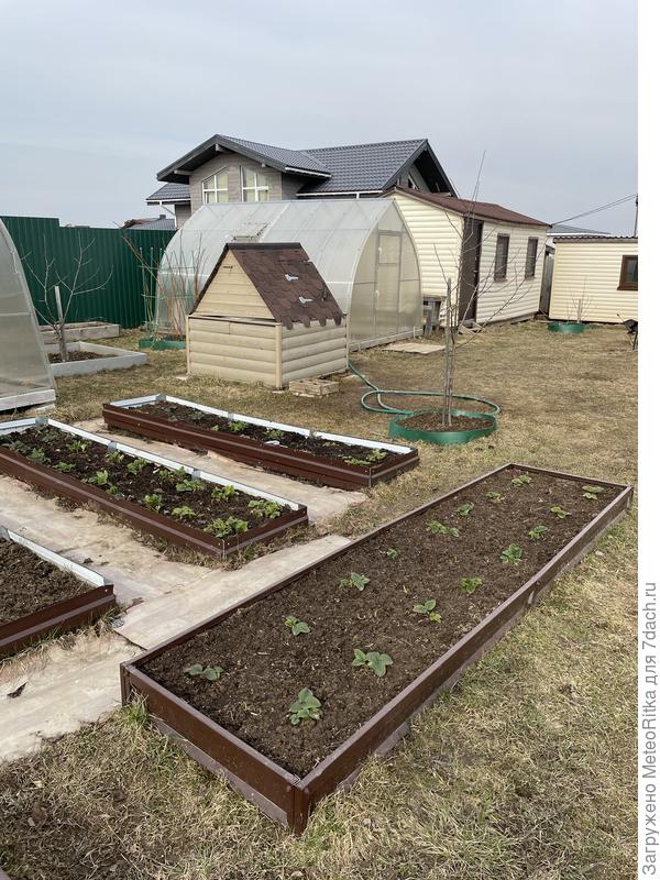 Клубничка моя🥰