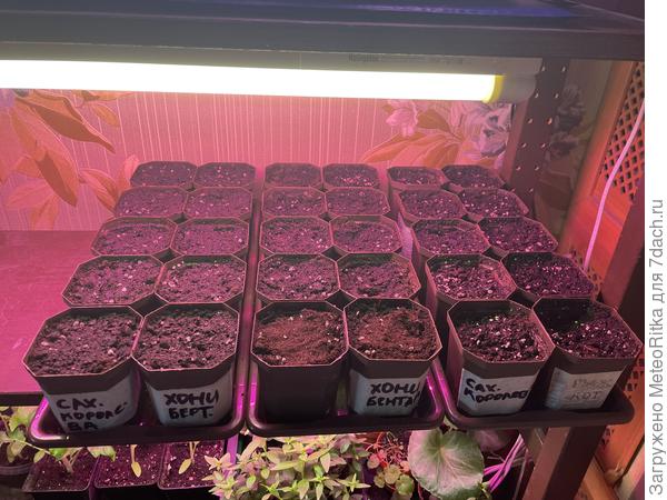 Увлеклась слегка😂