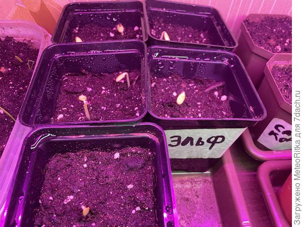 Полезли малыши